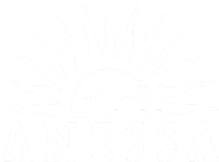 The official logo of Anesse